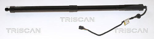 Triscan Gasfeder, Koffer-/Laderaum [Hersteller-Nr. 871016302] für Ford