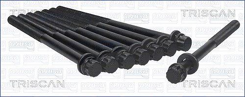 Triscan Zylinderkopfschraubensatz [Hersteller-Nr. 98-4301] für Hyundai