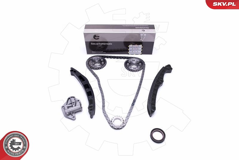 Esen Skv Steuerkettensatz [Hersteller-Nr. 21SKV147] für Skoda, VW, Seat