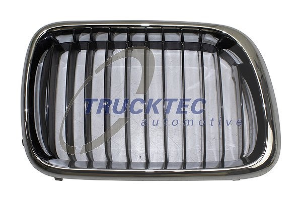 Trucktec Automotive Kühlergitter [Hersteller-Nr. 08.62.256] für BMW
