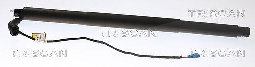 Triscan Gasfeder, Koffer-/Laderaum [Hersteller-Nr. 871011312] für BMW