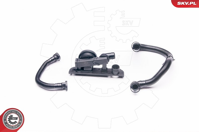 Esen Skv Reparatursatz, Kurbelgehäuseentlüftung [Hersteller-Nr. 31SKV003] für VW, Audi