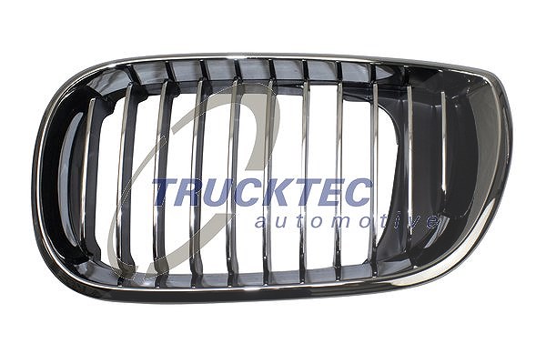 Trucktec Automotive Kühlergitter [Hersteller-Nr. 08.62.298] für BMW
