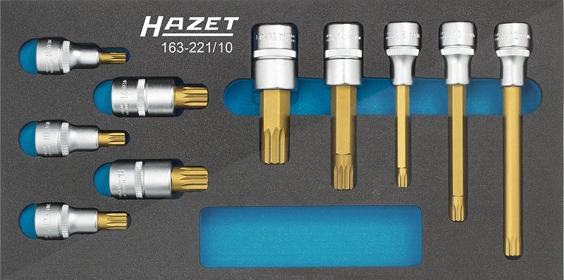 Hazet Schraubendreher-Steckschlüsseleinsatz Satz - 10-tlg. [Hersteller-Nr. 163-221/10]