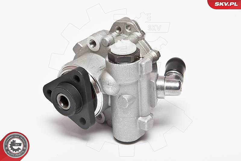 Esen Skv Hydraulikpumpe, Lenkung [Hersteller-Nr. 10SKV072] für BMW