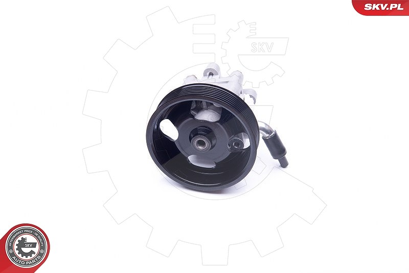 Esen Skv Hydraulikpumpe, Lenkung [Hersteller-Nr. 10SKV275] für Nissan