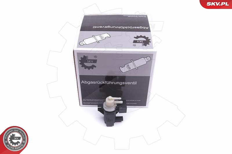 Esen Skv Druckwandler, Turbolader [Hersteller-Nr. 14SKV915] für Mercedes-Benz, Smart