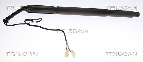 Triscan Gasfeder, Koffer-/Laderaum [Hersteller-Nr. 871011302] für BMW