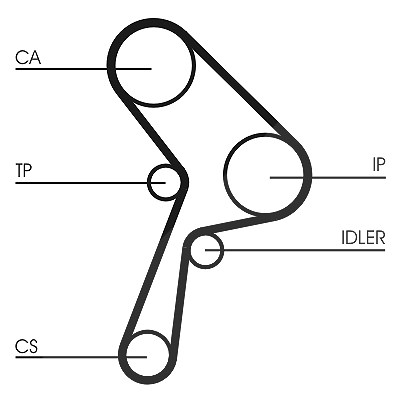 Continental Ctam Zahnriemen [Hersteller-Nr. CT609] für Fiat