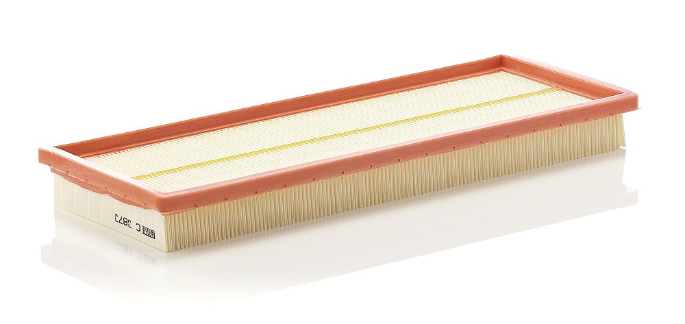 Mann-filter Luftfilter [Hersteller-Nr. C3873] für Fiat