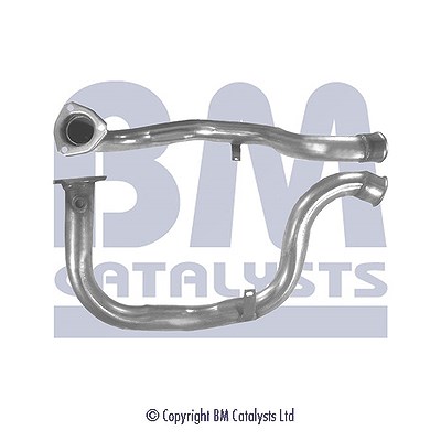 Bm Catalysts Abgasrohr [Hersteller-Nr. BM70405] für Citroën