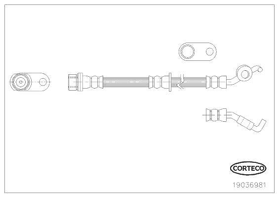 Corteco Bremsschlauch ERSTAUSRÜSTERQUALITÄT [Hersteller-Nr. 19036981] für Toyota