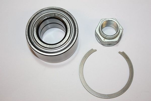 Automega Radlagersatz [Hersteller-Nr. 110186310] für Alfa Romeo, Ford, Opel, Citroën, Lancia