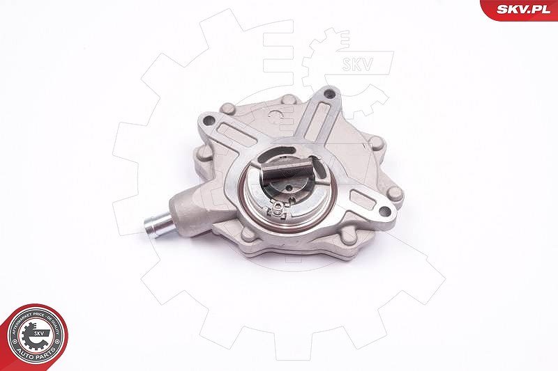 Esen Skv Unterdruckpumpe, Bremsanlage [Hersteller-Nr. 18SKV015] für BMW