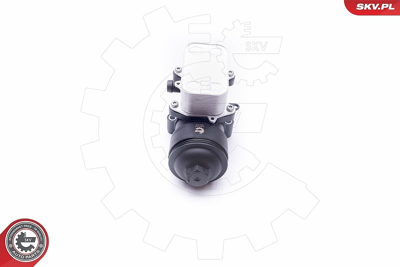 Esen Skv Gehäuse, Ölfilter [Hersteller-Nr. 31SKV053] für VW, Skoda, Audi