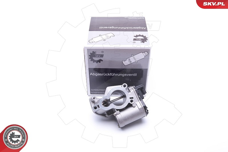 Esen Skv AGR-Ventil [Hersteller-Nr. 14SKV184] für Opel, Renault, Nissan
