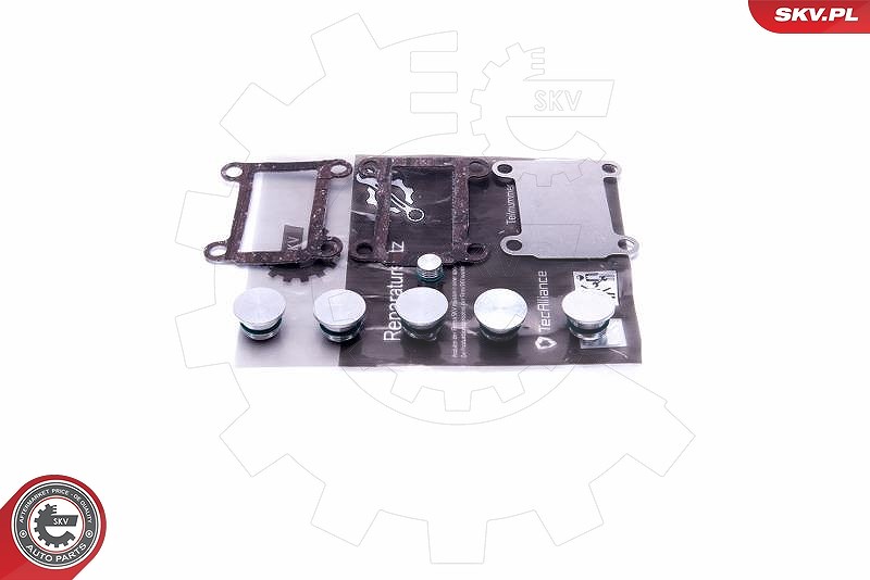 Esen Skv Reparatursatz, Saugrohrmodul [Hersteller-Nr. 49SKV526] für Lancia, Alfa Romeo, Fiat