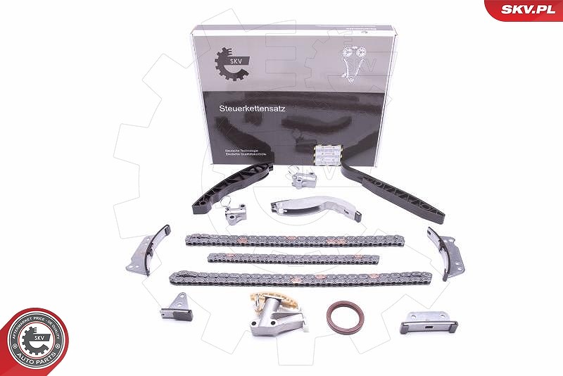 Esen Skv Steuerkettensatz [Hersteller-Nr. 21SKV223] für Kia, Hyundai