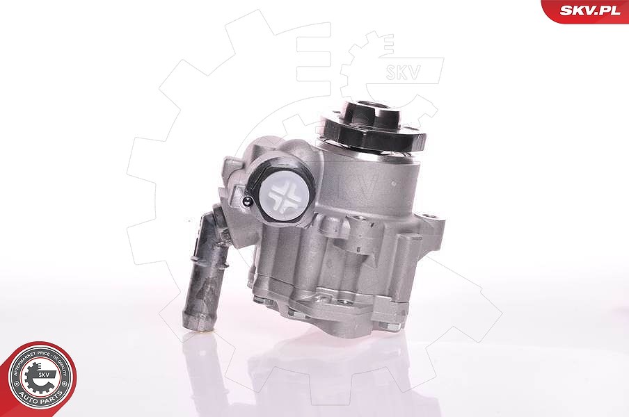 Esen Skv Hydraulikpumpe, Lenkung [Hersteller-Nr. 10SKV166] für Audi, VW, Skoda, Seat