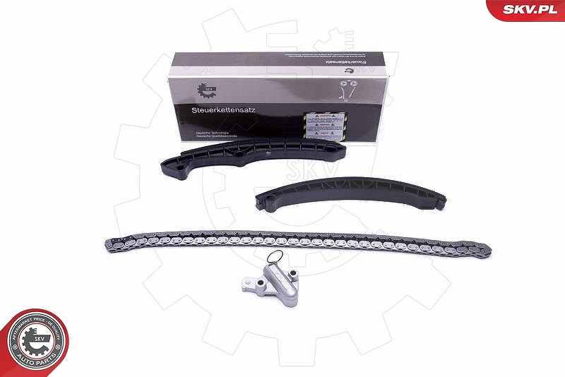 Esen Skv Steuerkettensatz [Hersteller-Nr. 21SKV160] für Audi, Seat, Skoda, VW