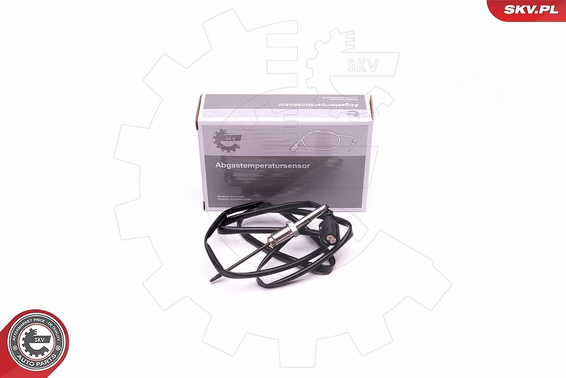 Esen Skv Sensor, Abgastemperatur [Hersteller-Nr. 30SKV324] für Mini, BMW