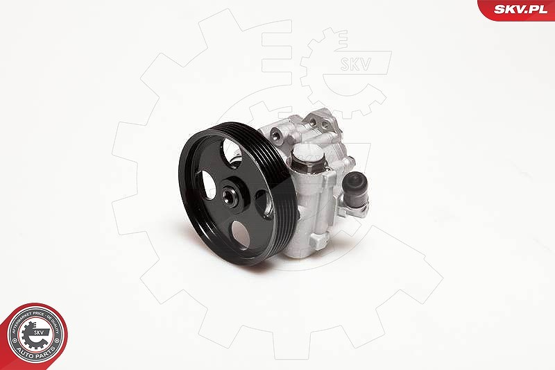 Esen Skv Hydraulikpumpe, Lenkung [Hersteller-Nr. 10SKV098] für Peugeot