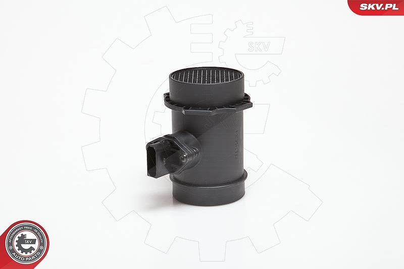 Esen Skv Luftmassenmesser [Hersteller-Nr. 07SKV031] für BMW
