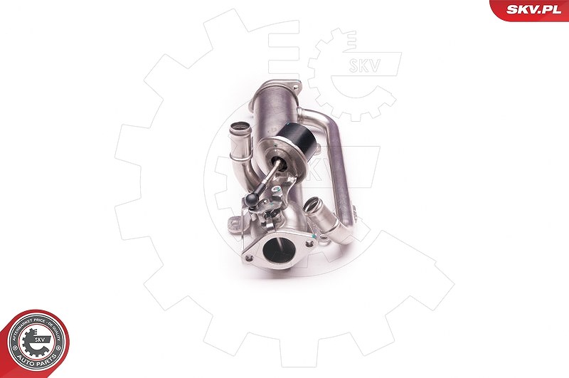 Esen Skv AGR-Ventil [Hersteller-Nr. 14SKV126] für Seat, Audi, VW, Skoda