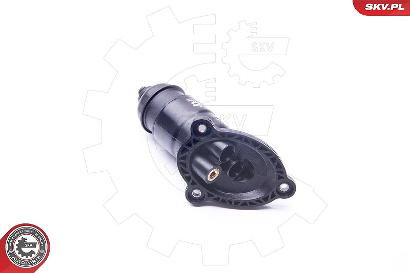 Esen Skv Hydraulikfilter, Automatikgetriebe [Hersteller-Nr. 31SKV056] für Audi
