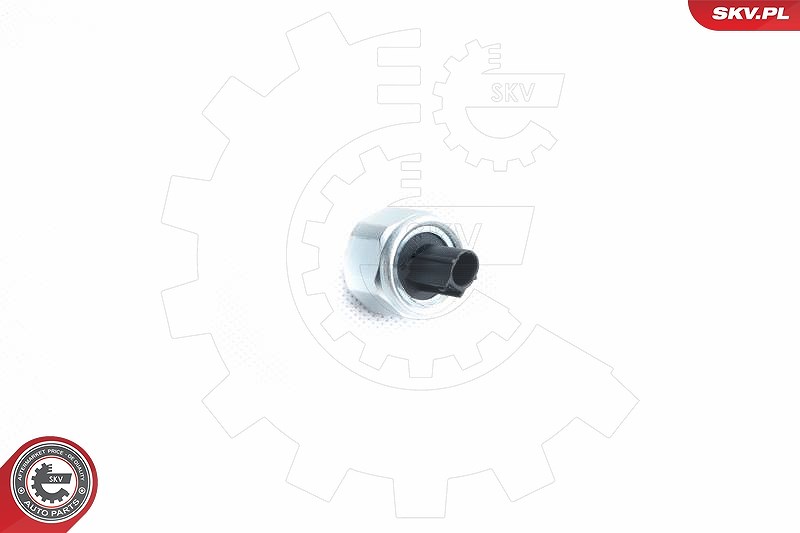Esen Skv Klopfsensor [Hersteller-Nr. 17SKV360] für Honda