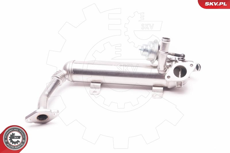 Esen Skv AGR-Ventil [Hersteller-Nr. 14SKV118] für Audi, VW, Skoda, Seat