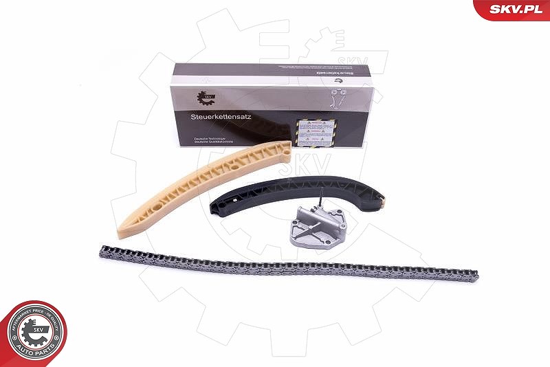 Esen Skv Steuerkettensatz [Hersteller-Nr. 21SKV180] für Seat, VW, Skoda
