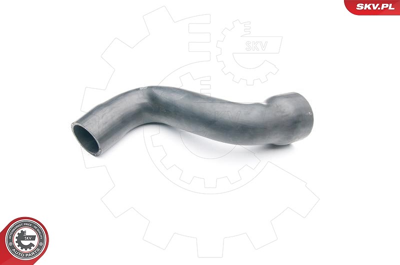 Esen Skv Ladeluftschlauch [Hersteller-Nr. 24SKV118] für Seat, Audi
