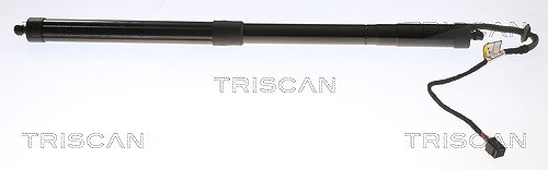 Triscan Gasfeder, Koffer-/Laderaum [Hersteller-Nr. 871017301] für Land Rover