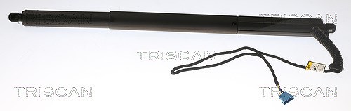 Triscan Gasfeder, Koffer-/Laderaum [Hersteller-Nr. 871011306] für BMW
