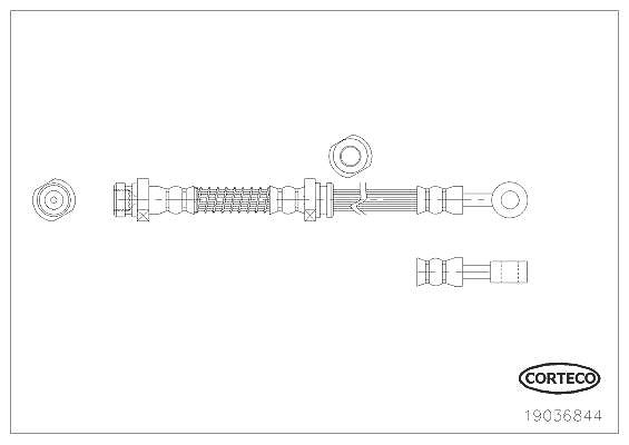 Corteco Bremsschlauch ERSTAUSRÜSTERQUALITÄT [Hersteller-Nr. 19036844] für Hyundai