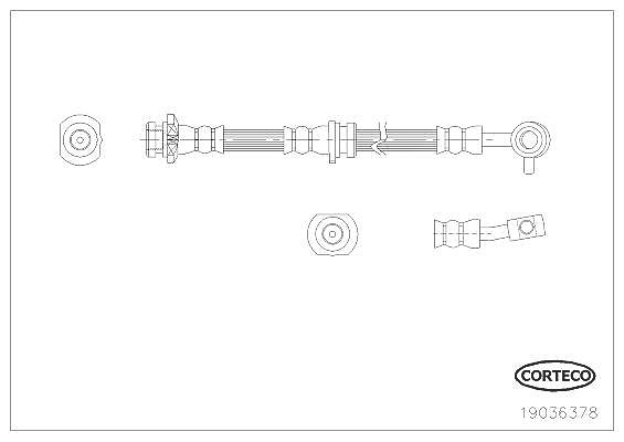 Corteco Bremsschlauch ERSTAUSRÜSTERQUALITÄT [Hersteller-Nr. 19036378] für Nissan