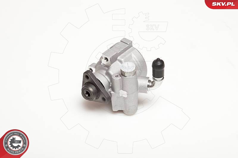 Esen Skv Hydraulikpumpe, Lenkung [Hersteller-Nr. 10SKV003] für Fiat, Lancia, Alfa Romeo