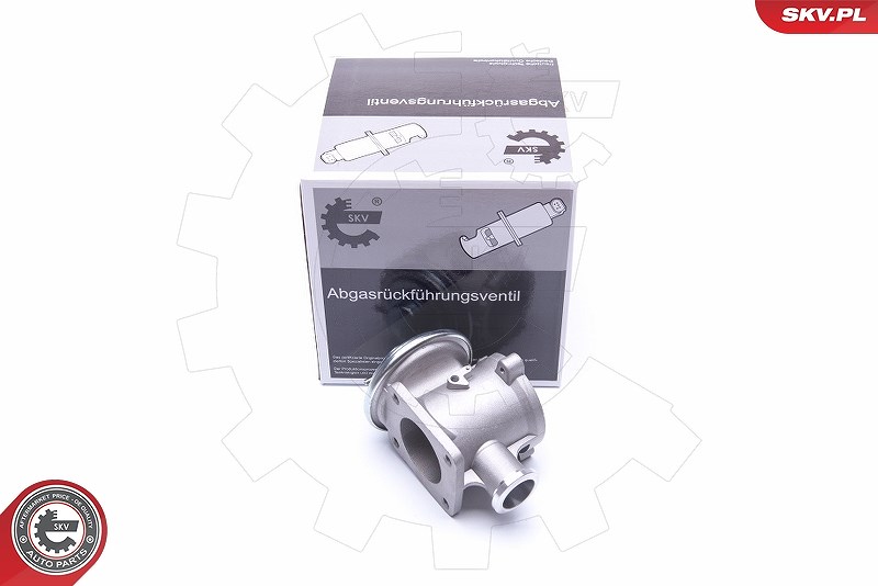 Esen Skv AGR-Ventil [Hersteller-Nr. 14SKV178] für BMW