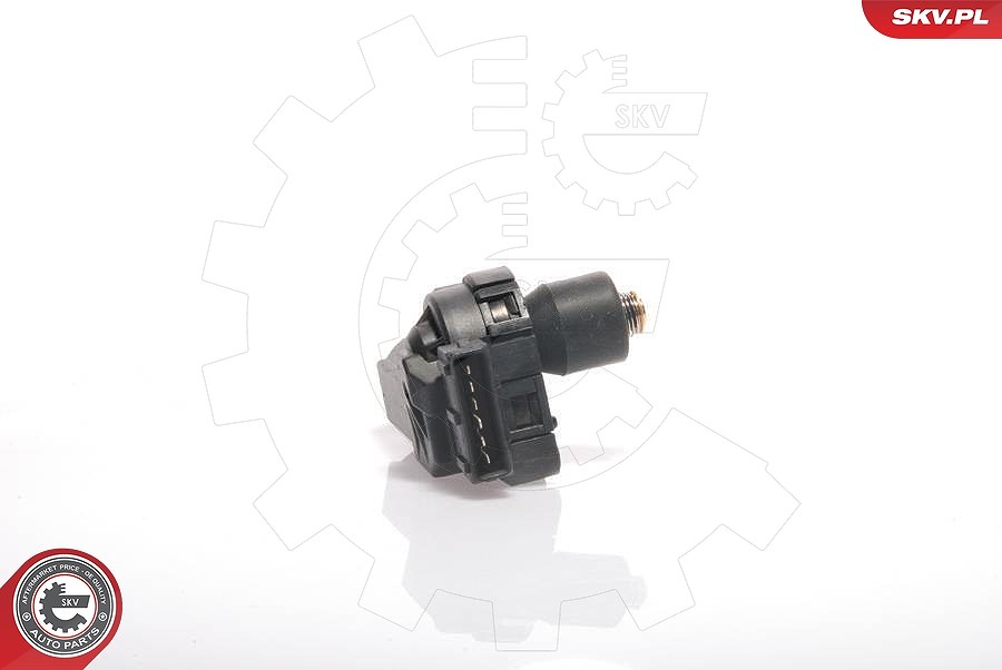Esen Skv Leerlaufregelventil, Luftversorgung [Hersteller-Nr. 08SKV201] für Peugeot, VW, Citroën, Seat