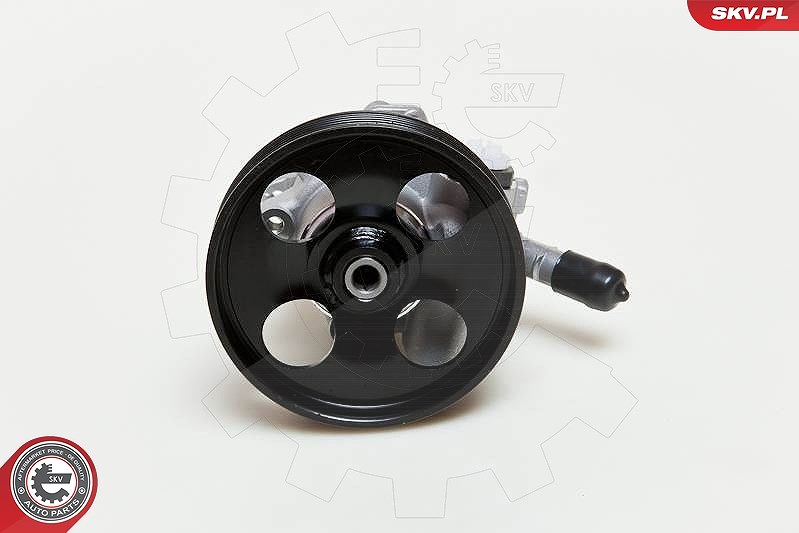 Esen Skv Hydraulikpumpe, Lenkung [Hersteller-Nr. 10SKV060] für Citroën, Peugeot