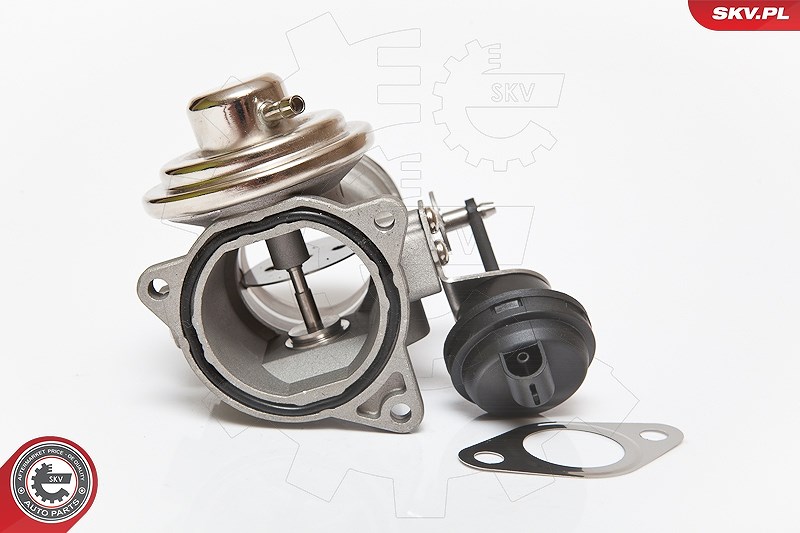 Esen Skv AGR-Ventil [Hersteller-Nr. 14SKV081] für Skoda, Seat, VW