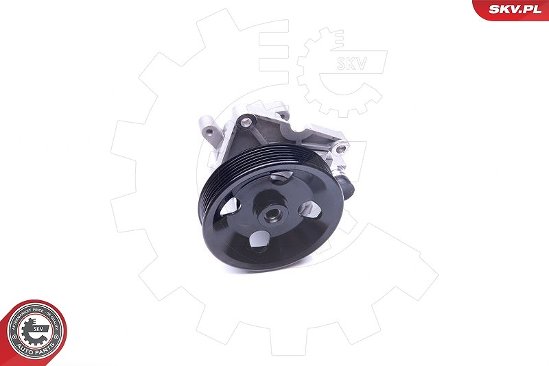 Esen Skv Hydraulikpumpe, Lenkung [Hersteller-Nr. 10SKV192] für Mercedes-Benz
