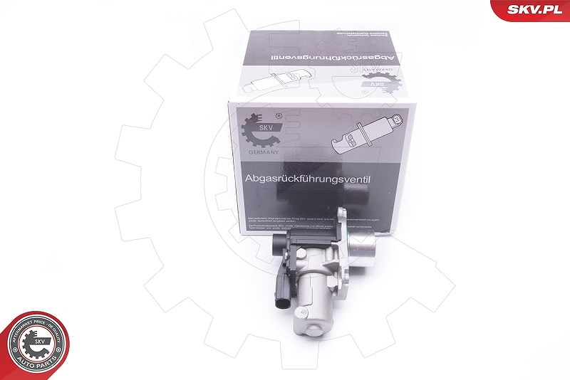 Esen Skv AGR-Ventil [Hersteller-Nr. 14SKV170] für Audi, Seat, Skoda, VW