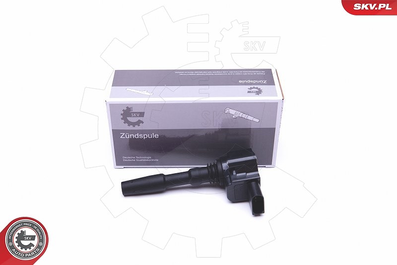 Esen Skv Zündspule [Hersteller-Nr. 03SKV287] für Audi, Bentley