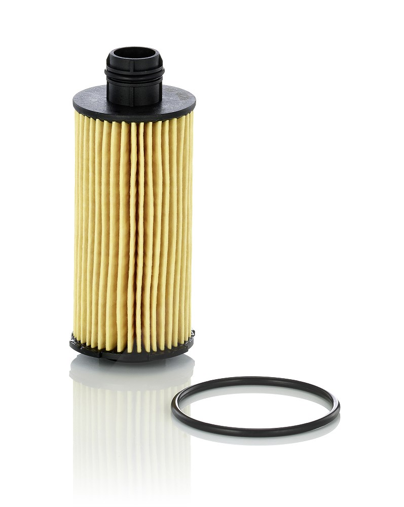 Mann-filter Ölfilter [Hersteller-Nr. HU6026Z] für Alfa Romeo