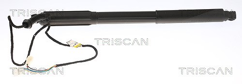 Triscan Gasfeder, Koffer-/Laderaum [Hersteller-Nr. 871011304] für BMW