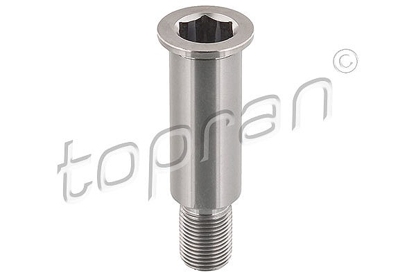 Topran Lagerzapfen, Spannrollenhebel [Hersteller-Nr. 400004] für Mercedes-Benz