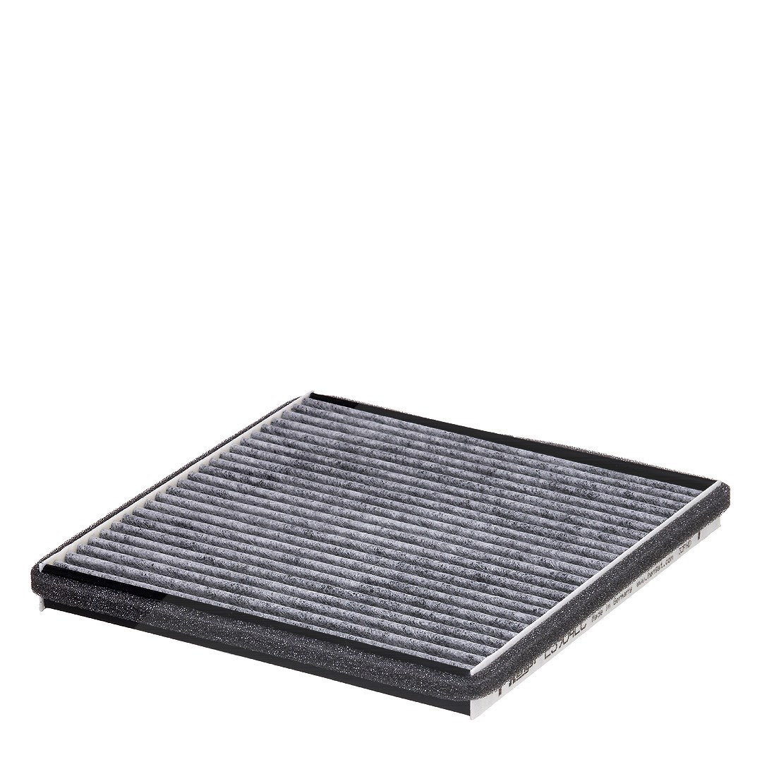 Hengst Filter Filter, Innenraumluft [Hersteller-Nr. E3904LC] für Chevrolet