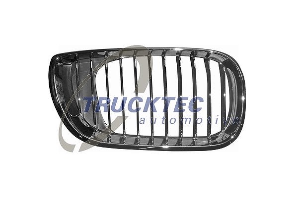 Trucktec Automotive Kühlergitter [Hersteller-Nr. 08.62.306] für BMW